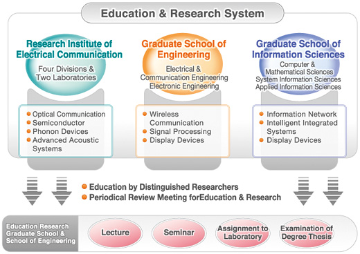  Management System of Electrical & Information Departments in Tohoku University 