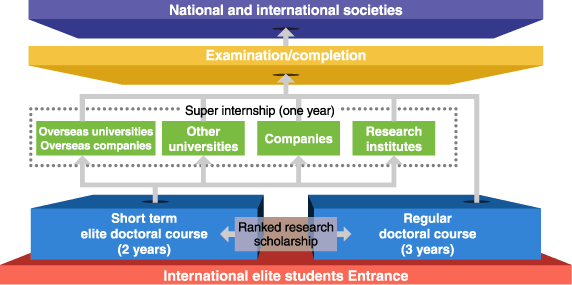Super internship(one year)