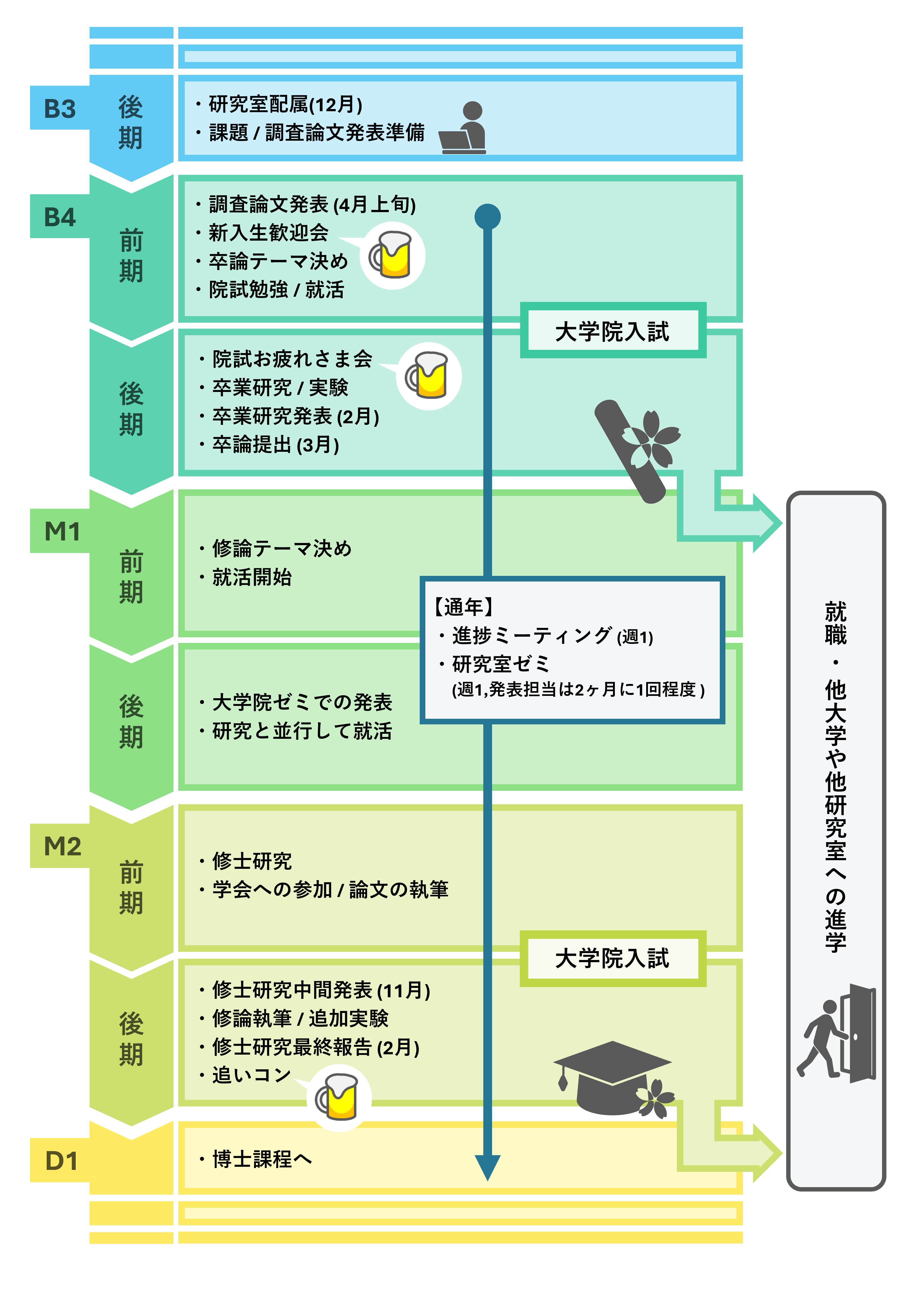 配属から卒業までのスケジュール