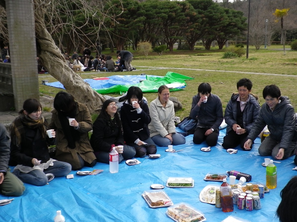 hanami02.JPG