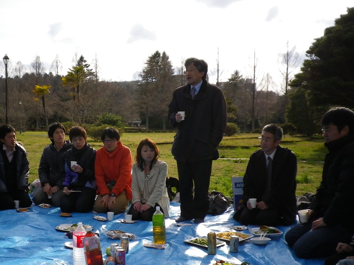 hanami03.JPG