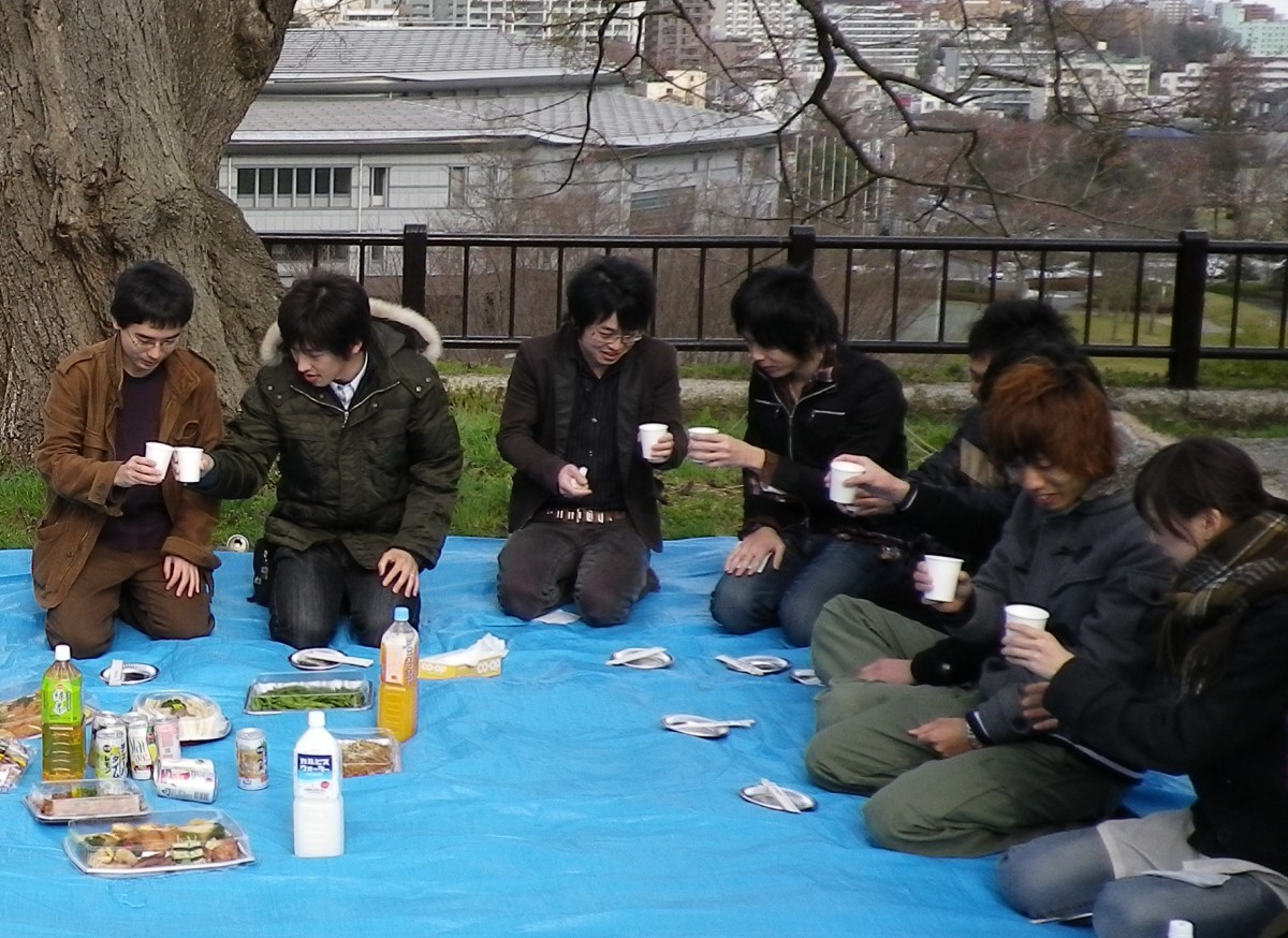 hanami04.JPG