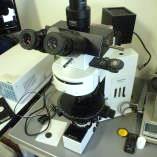 4. BX50(OLYMPUS)