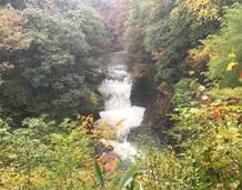 �P�l�\����