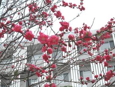 �R���A�b�v