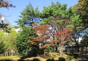 �t�R�L�����p�X�H