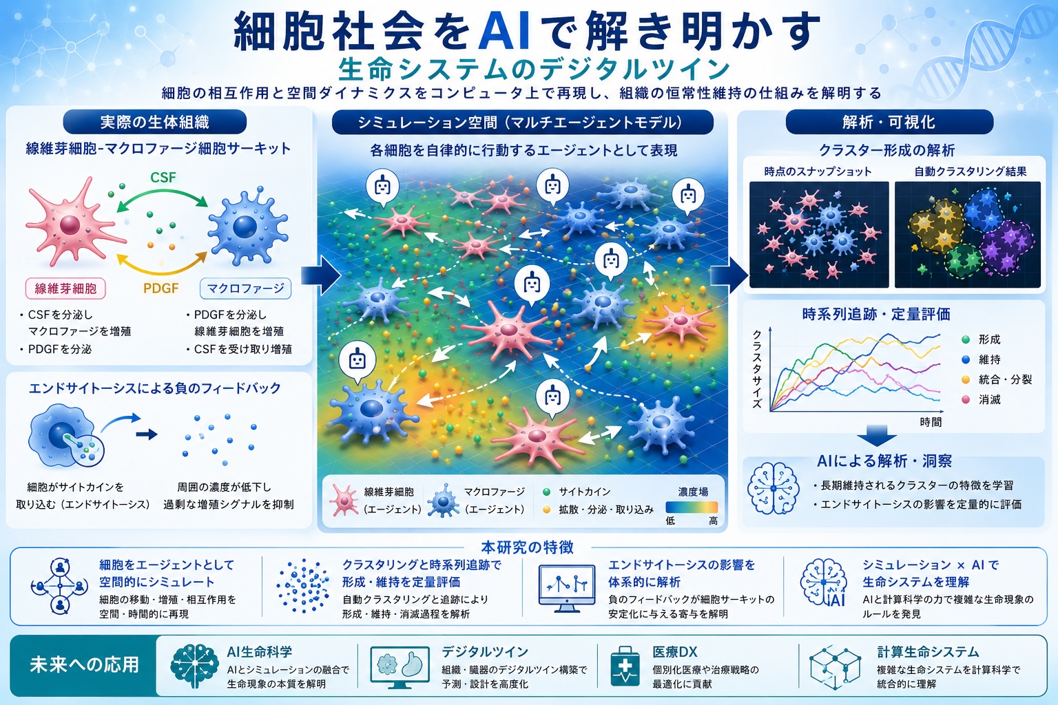 細胞社会をAIで解き明かす生命システムのデジタルツインの概念図