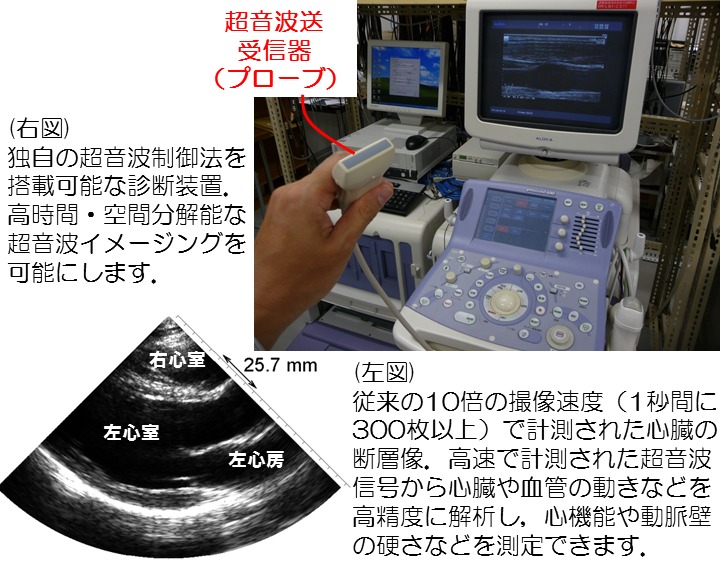 ファッション姫 通販 HFR.jpg 臨床医学