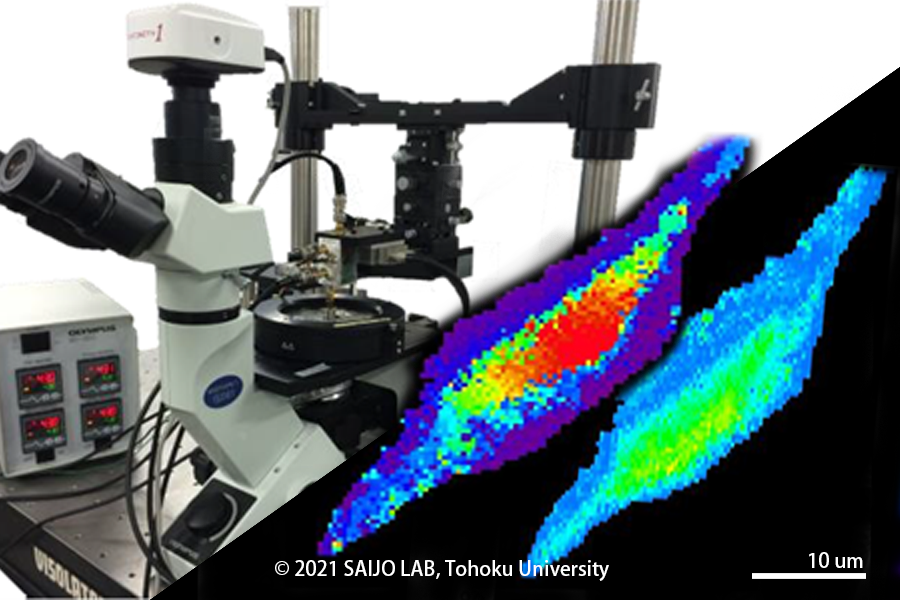 USmicroscopy_eyecathe