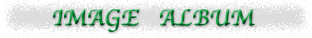 ^Cg