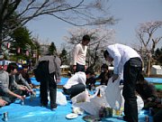 hanami03.jpg