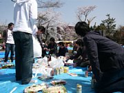 hanami04.jpg