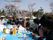 hanami05.jpg