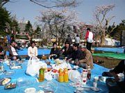 hanami09.jpg