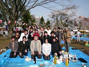 hanami16.jpg