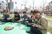 hanami00.jpg