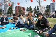 hanami03.jpg