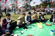 hanami04.jpg