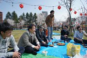 hanami06.jpg