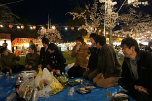 hanami06.jpg