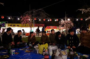 hanami08.jpg
