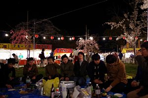 hanami09.jpg
