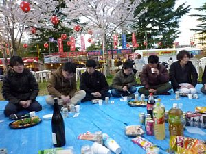 hanami002.jpg