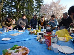 hanami00.jpg