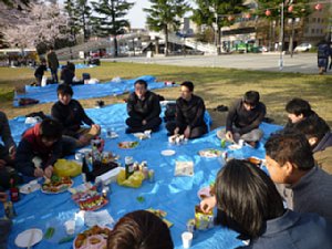 hanami01.jpg