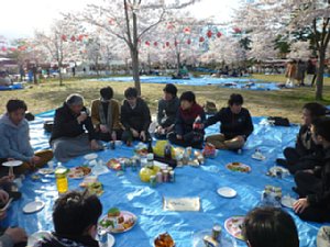 hanami02.jpg