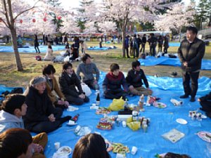 hanami05.jpg
