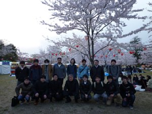 hanami07.jpg