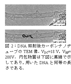 eLXg {bNX:   
}2FDNAƎˌJ[{im`[uTEMDVDC=18 VCVRF= 200VD͉}ɍŎĂCpDNAƓ̒łD

