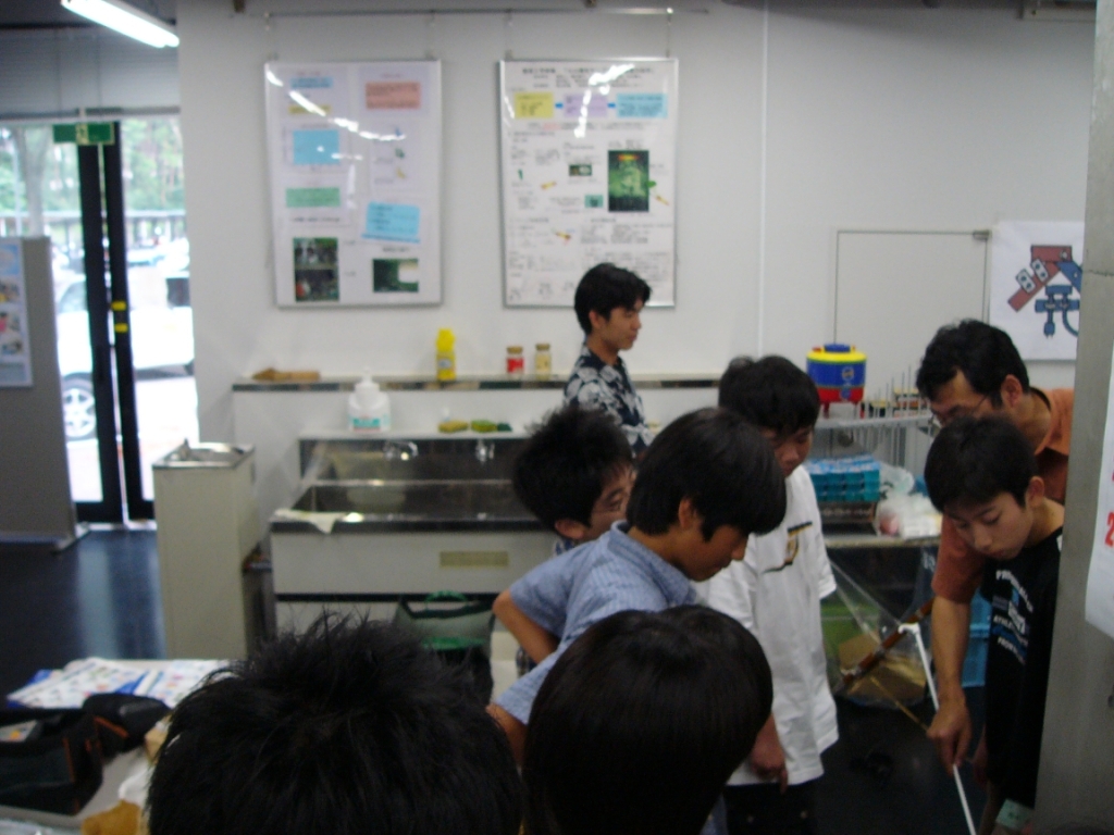 P1040261.jpg